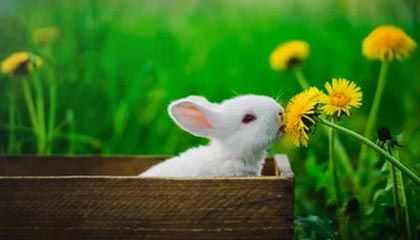 田径赛事赛场突发！队医被曝数据异常，国足球员通过开云app应对