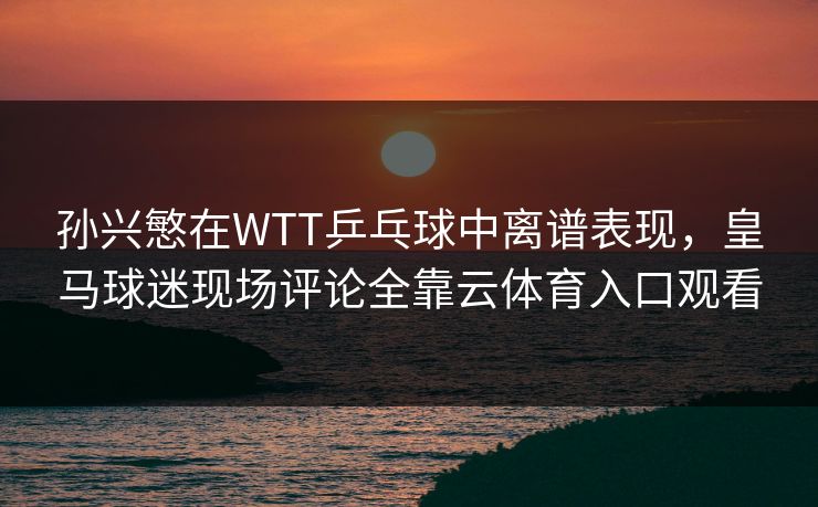 孙兴慜在WTT乒乓球中离谱表现，皇马球迷现场评论全靠云体育入口观看