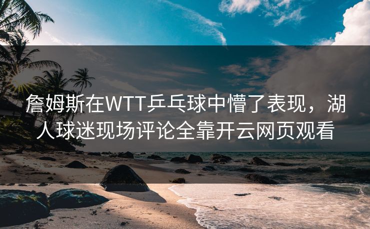 詹姆斯在WTT乒乓球中懵了表现，湖人球迷现场评论全靠开云网页观看